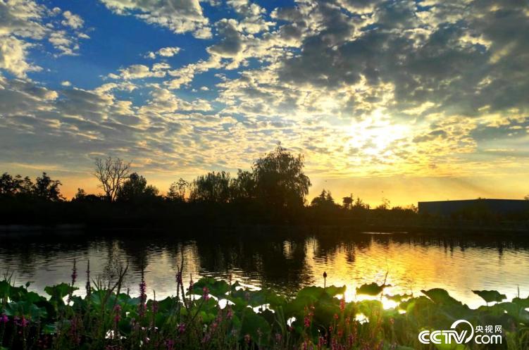 Shangu Ecological Garden Landscape Lake